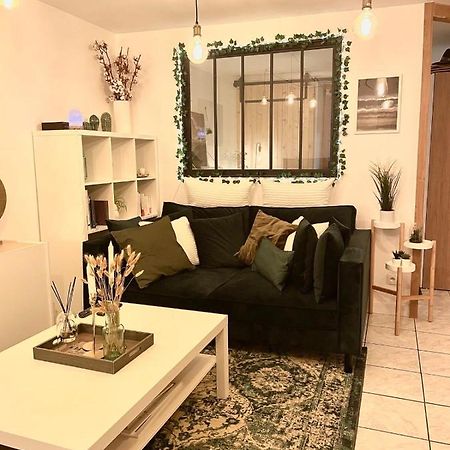 Apartmán Petit Cocon Au Coeur D'Annecy Exteriér fotografie