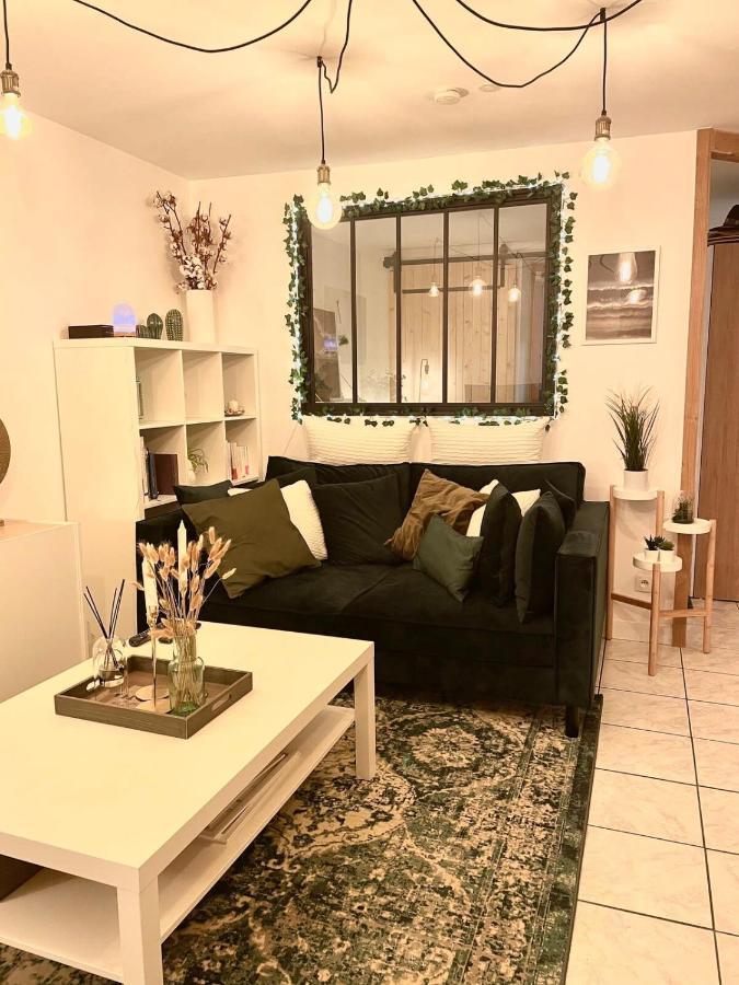 Apartmán Petit Cocon Au Coeur D'Annecy Exteriér fotografie