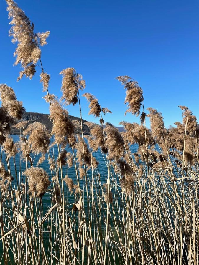 Apartmán Petit Cocon Au Coeur D'Annecy Exteriér fotografie